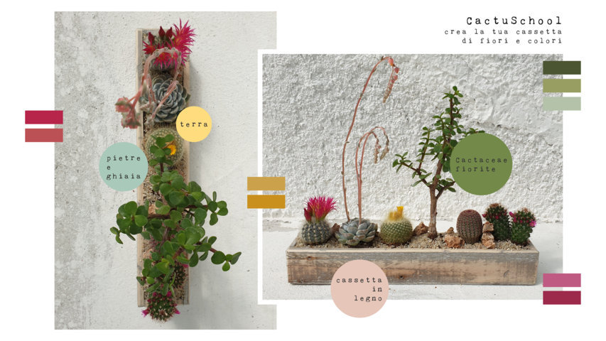 Composizione Fiori e Colori Composizione Fiori e Colori