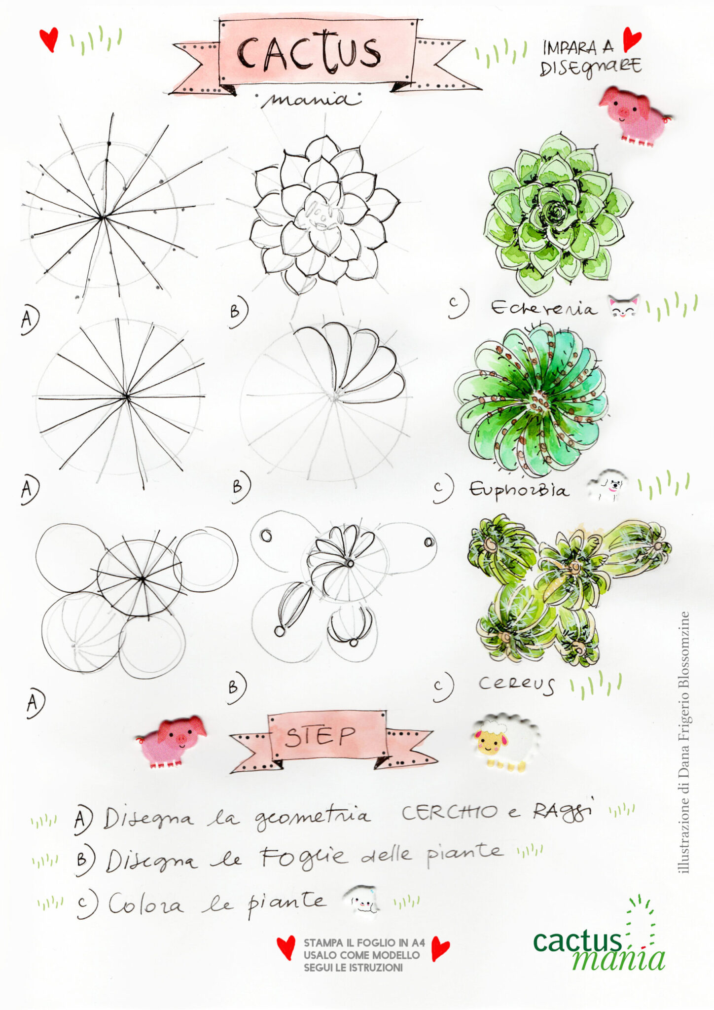 Disegnare cactus Disegnare cactus