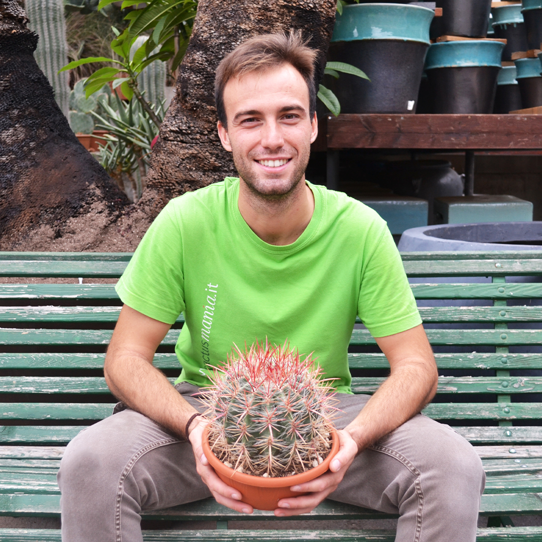 Ferocactus stainesii pilosus vaso Ø 20