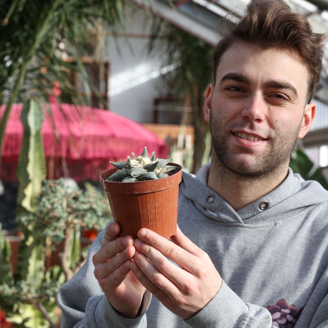 Ariocarpus retusus Ø 12