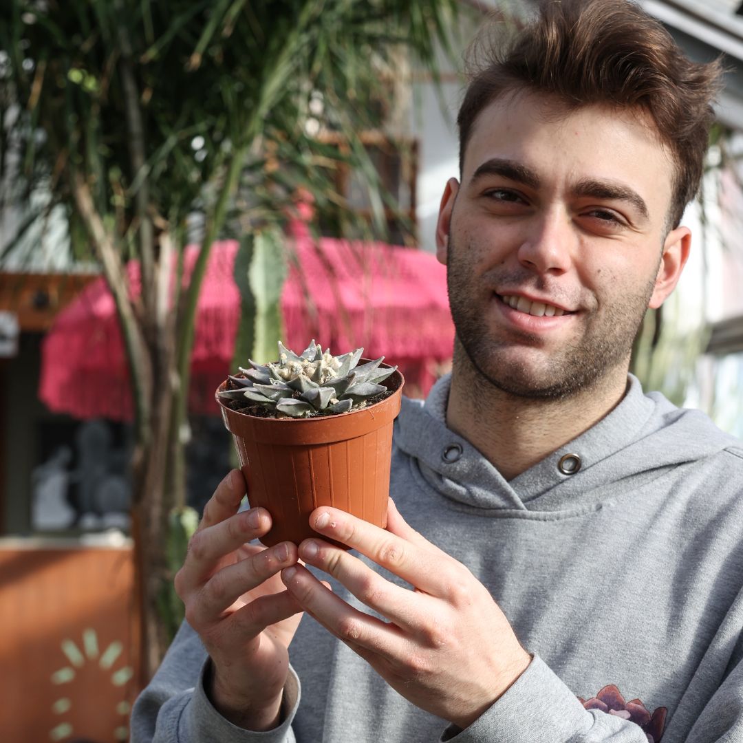 Ariocarpus retusus Ø 12
