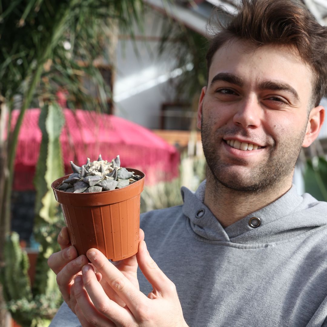 Ariocarpus retusus Ø 12
