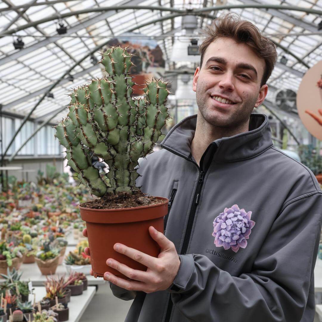 Euphorbia caerulescens Ø 20