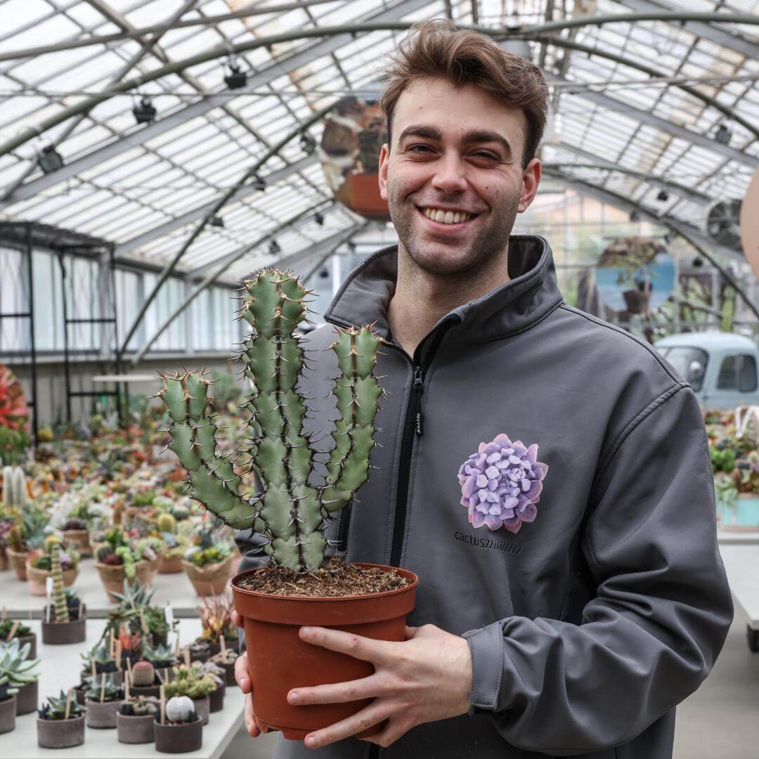 Euphorbia caerulescens Ø 20