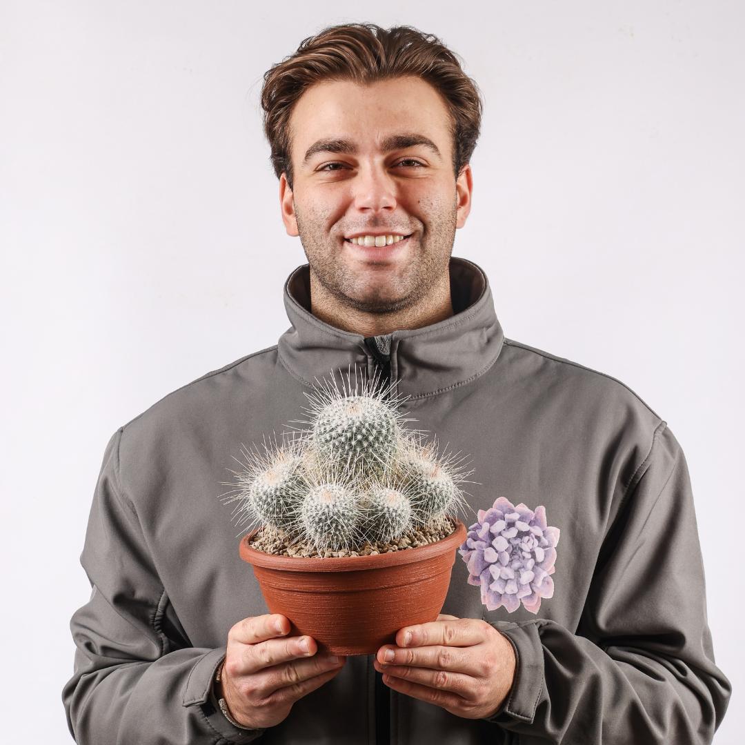 Mammillaria geminispina longispina Ø 20