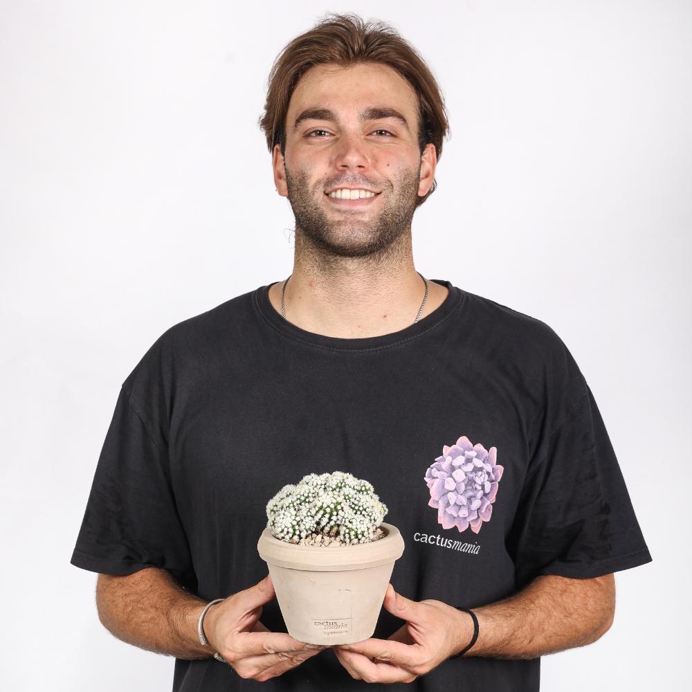Mammillaria gracilis Oruga Ø 14