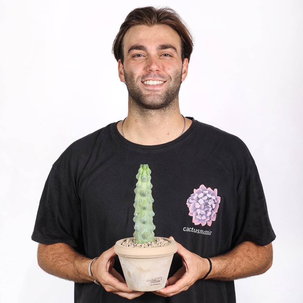 Myrtillocactus geometrizans Fukurokuryuzinboku Ø 14