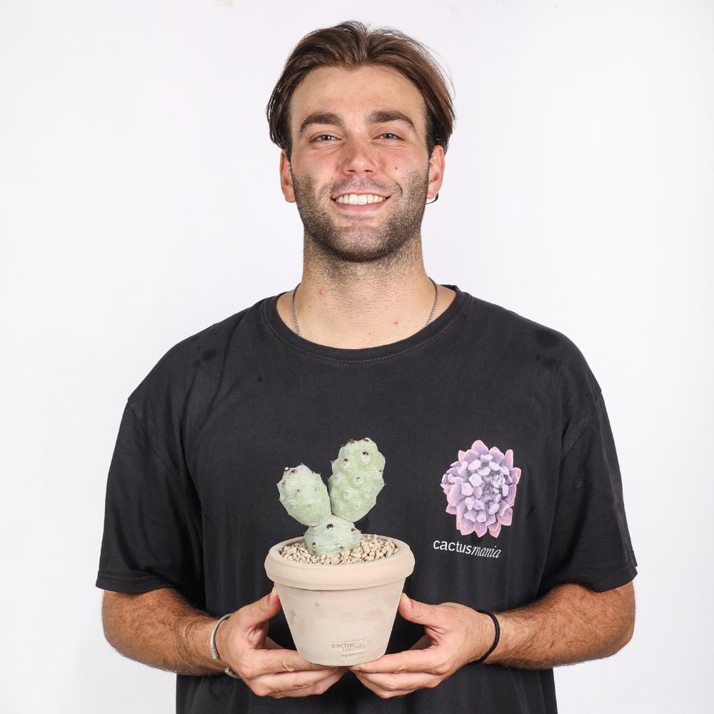 Tephrocactus articulatus v. calvus Ø 14