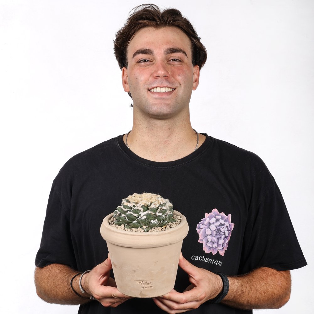 Ariocarpus hybrid Ø 18 cm