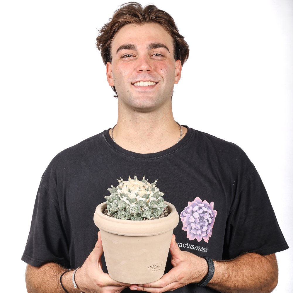 Ariocarpus hybrid Ø 18 cm