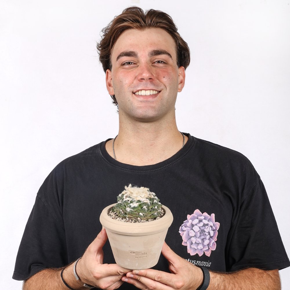 Ariocarpus hybrid Ø 14 cm