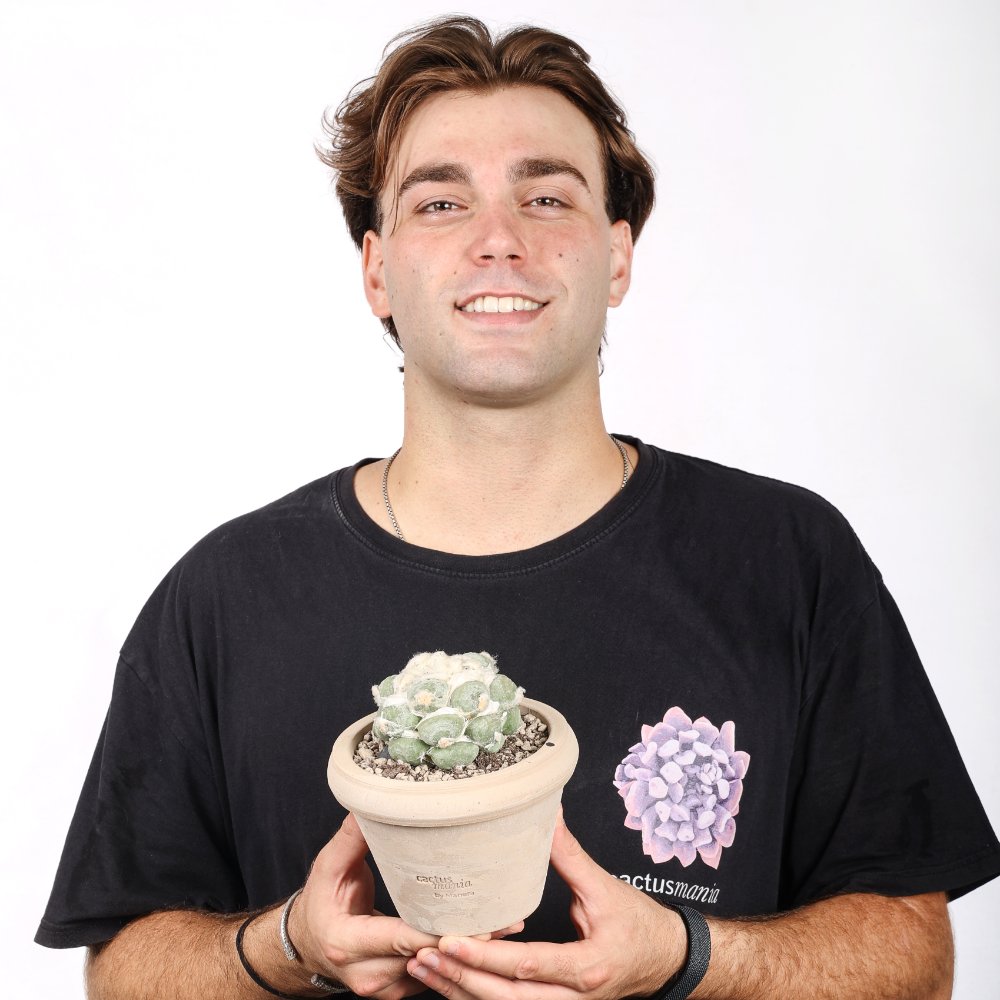 Ariocarpus hybrid Ø 14 cm