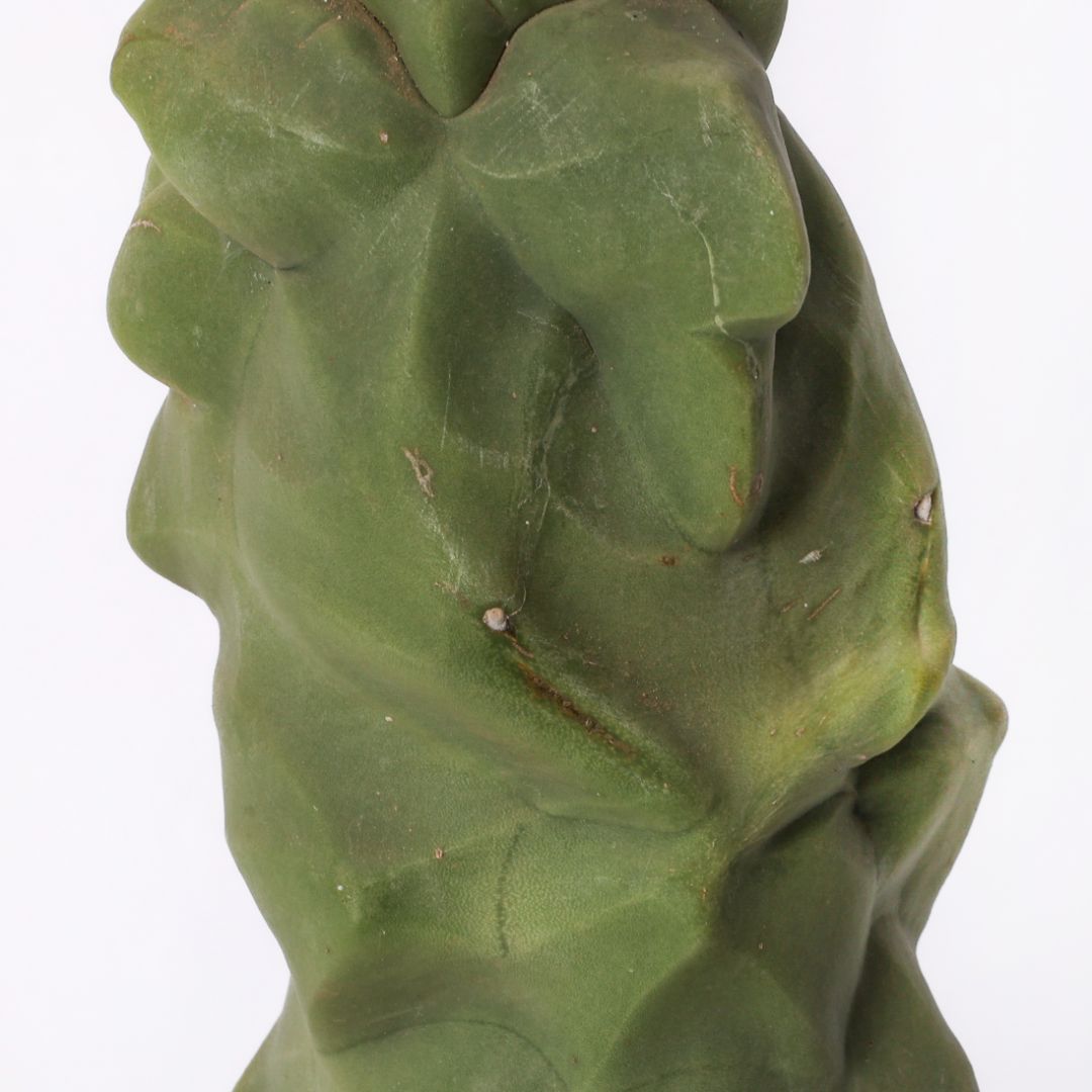 Lophocereus schotti mostruoso