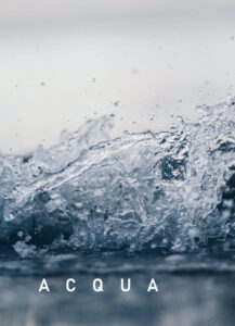 ManeRaku Acqua ManeRaku Acqua