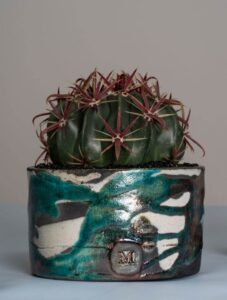 Ferocactus latispinus vaso Raku