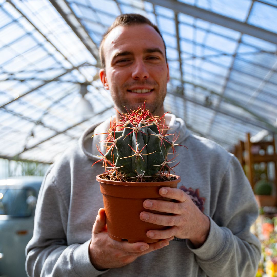 Ferocactus emoryi Ø 16 cm 706F