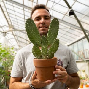 Opuntia consolea Ø 13 cm 848F