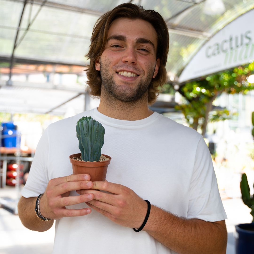 Myrtillocactus geometrizans crestato Ø 10 cm - immagine 4