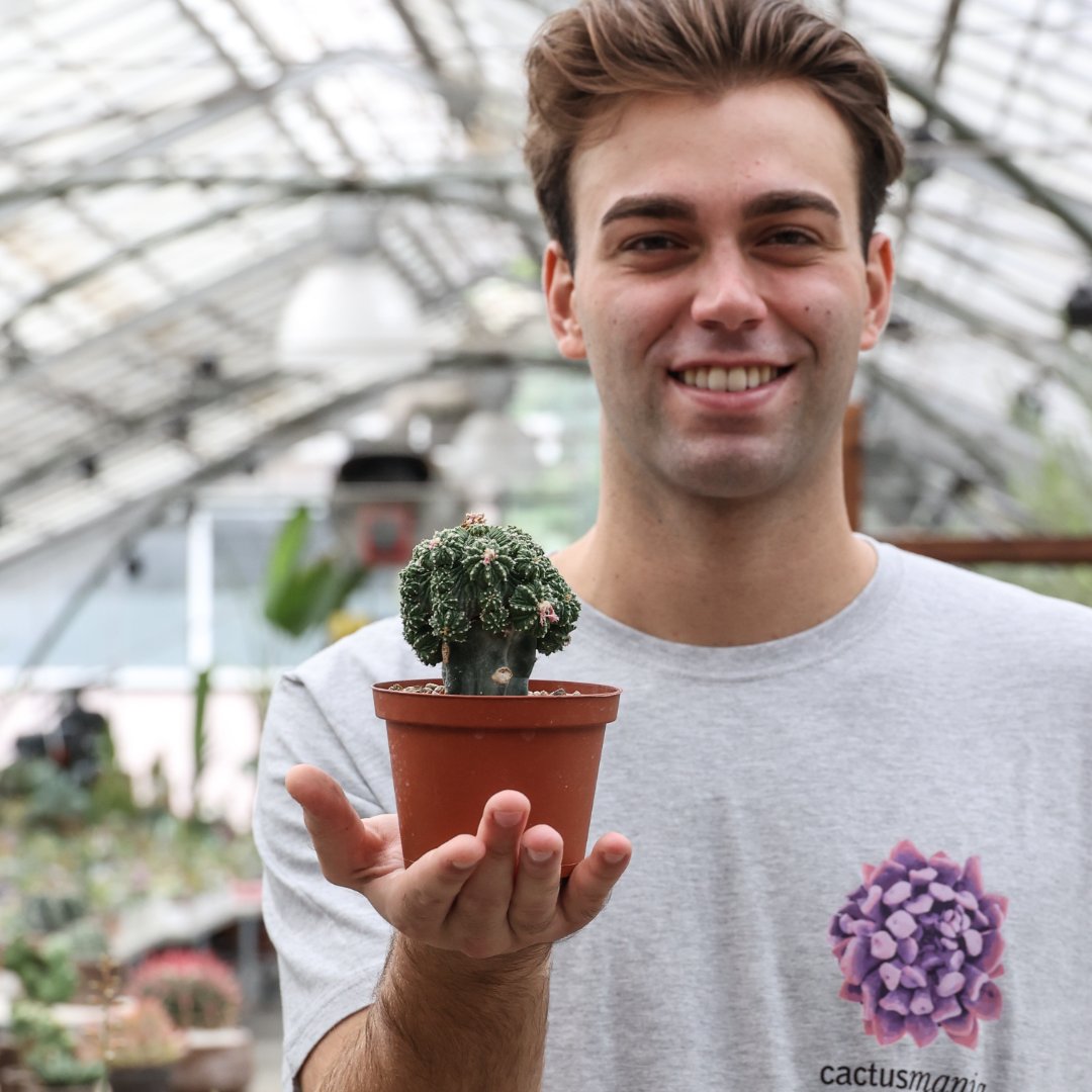 Aztekium ritteri Ø 10.5 cm - immagine 4