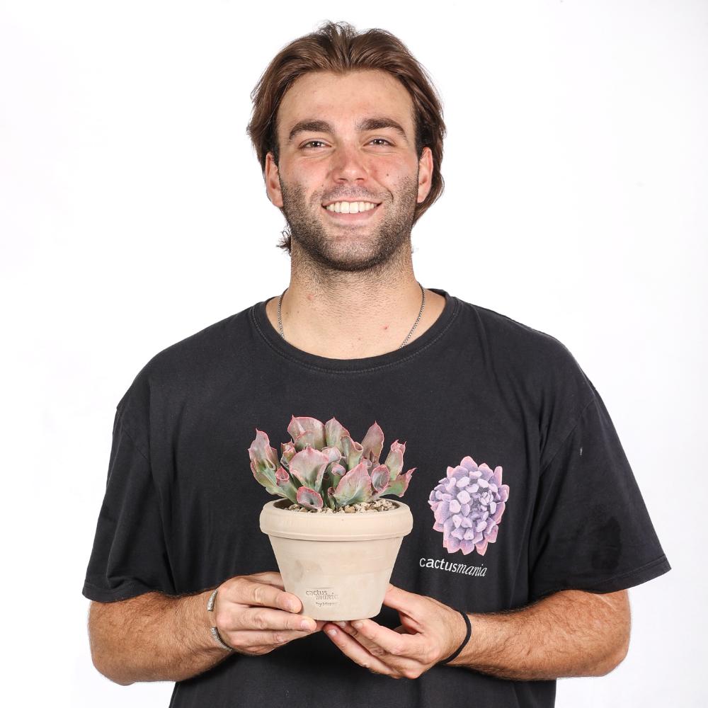Echeveria 'Trumpet Pinky' Ø 14