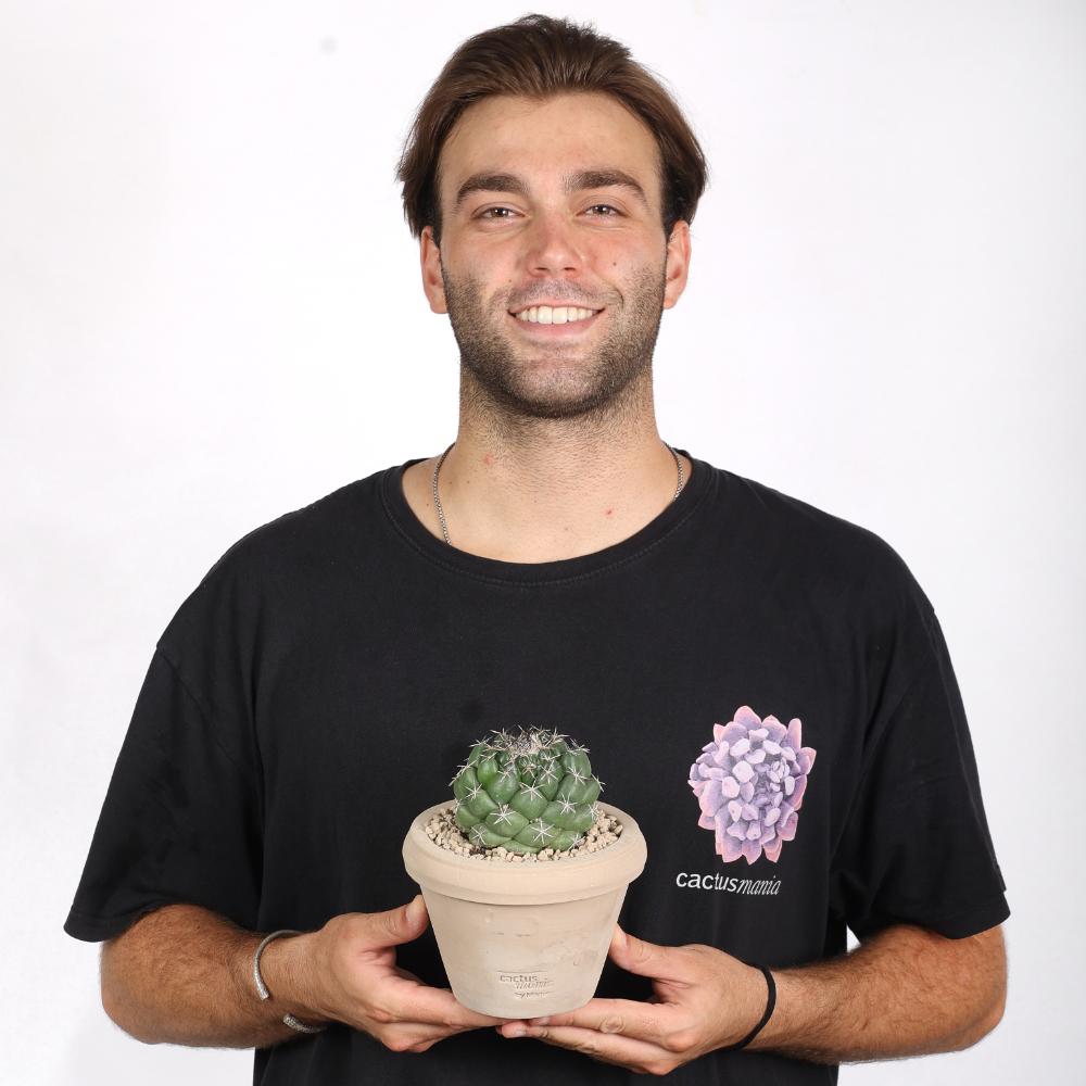 Coryphantha maiz-tablasensis Ø 14