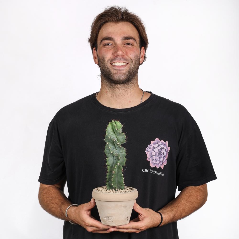 Cereus forbesii spiralis Ø 14