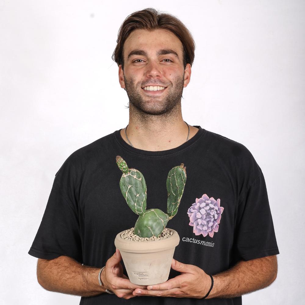 Opuntia zebrina reticulata Ø 14