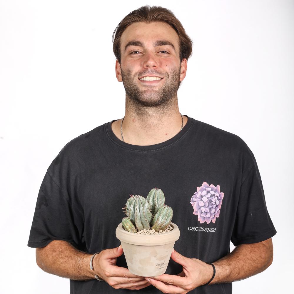 Euphorbia horrida striata Ø 14